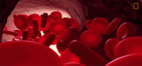 Urgent Male Assist Review Blood Flow Supplements For Erectile Dysfunction Men's Health